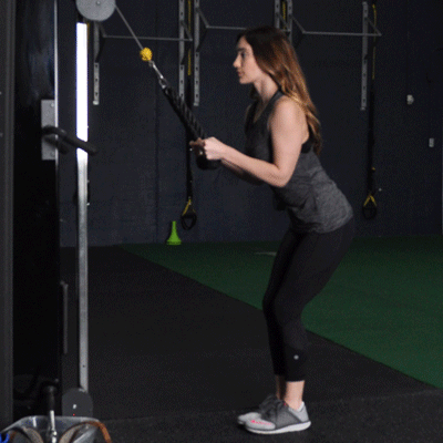 Pulley triceps extension