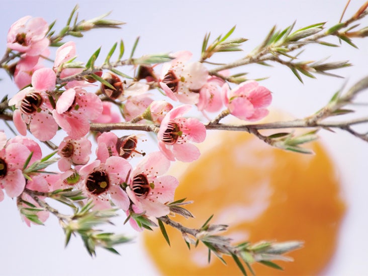 What’s the Big Deal About Manuka Honey?