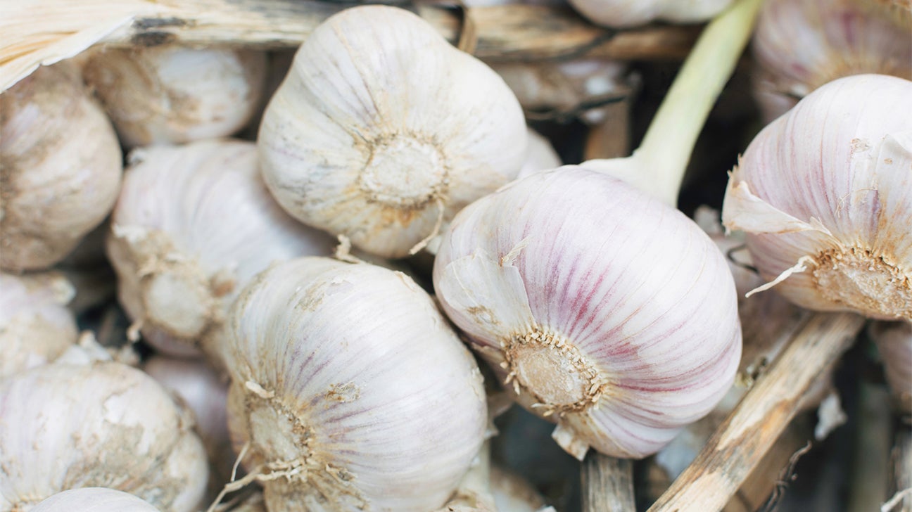 Top 5 Best Garlic Press Review in 2023 