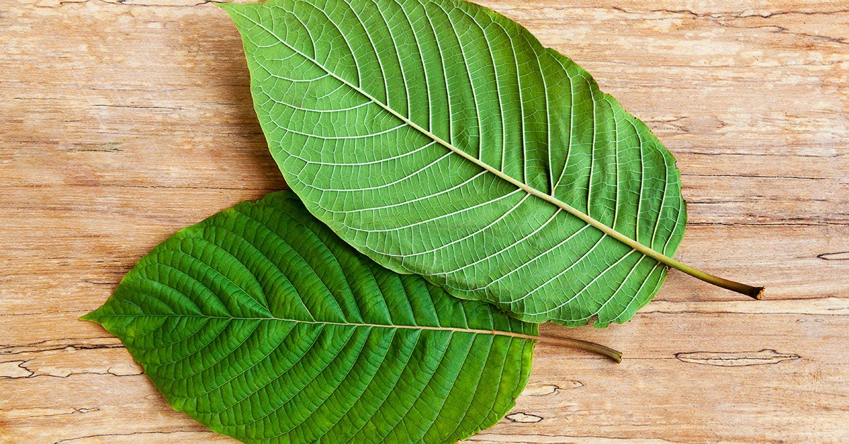 Kratom for Depression and Anxiety: Types, Dosage, Side Effects, More