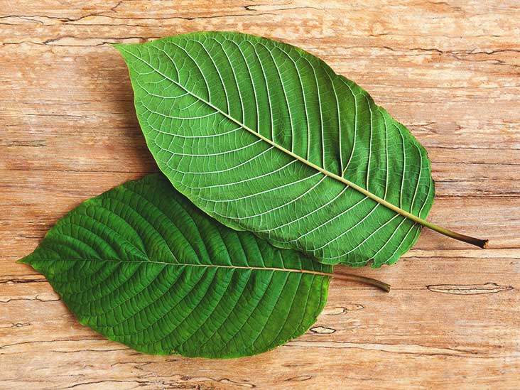 Kratom for Depression and Anxiety: Types, Dosage, Side Effects, More