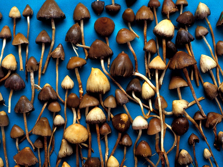 use magic mushrooms