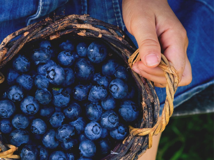 Why Blueberries Are So Good for Diabetes Management