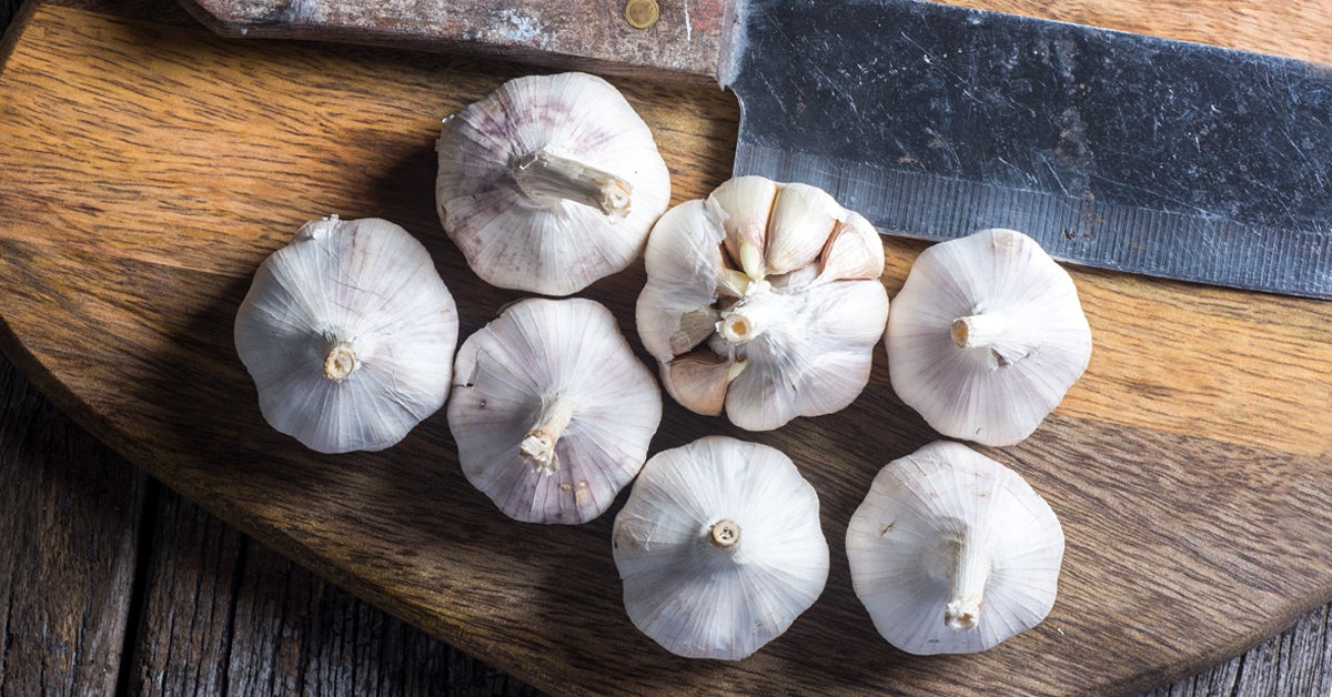 Warts treatment with garlic