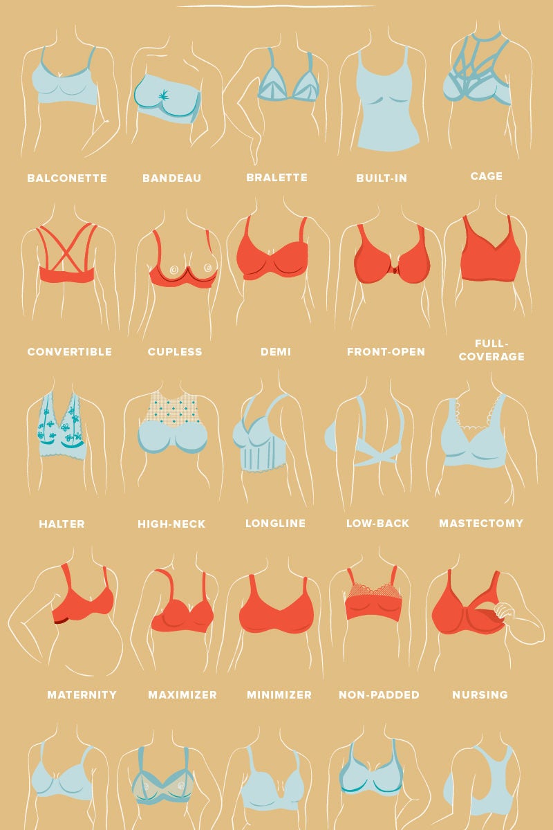 31 Types Of Bras Cups Straps Support Sizing And More