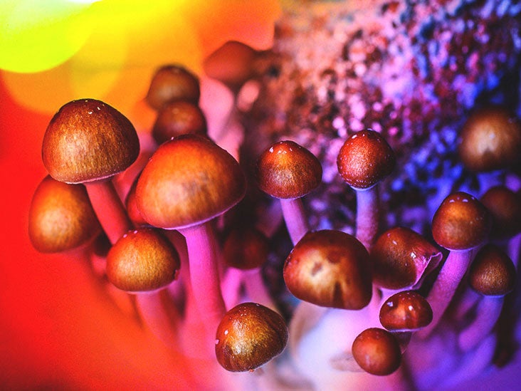 How Magic Mushrooms can Help Fight your Depression