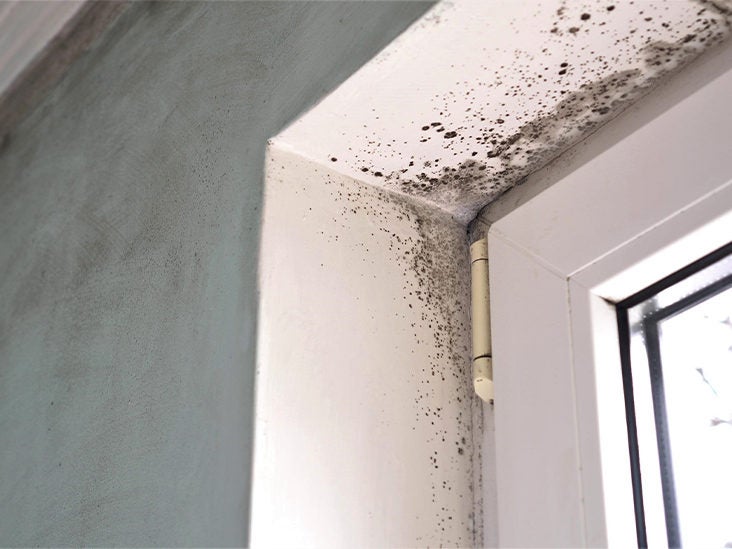 Cause mold issue