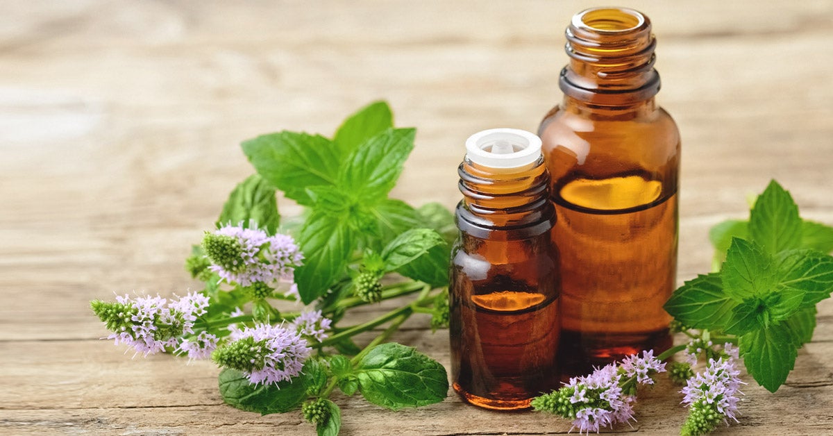 Peppermint Oil Uses, Benefits, and Side Effects