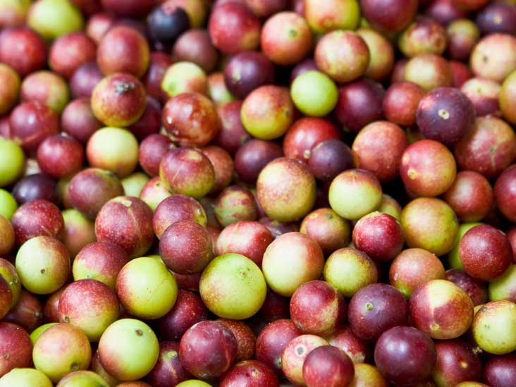Camu Camu: Amazonian Age-Fighting Super Berries