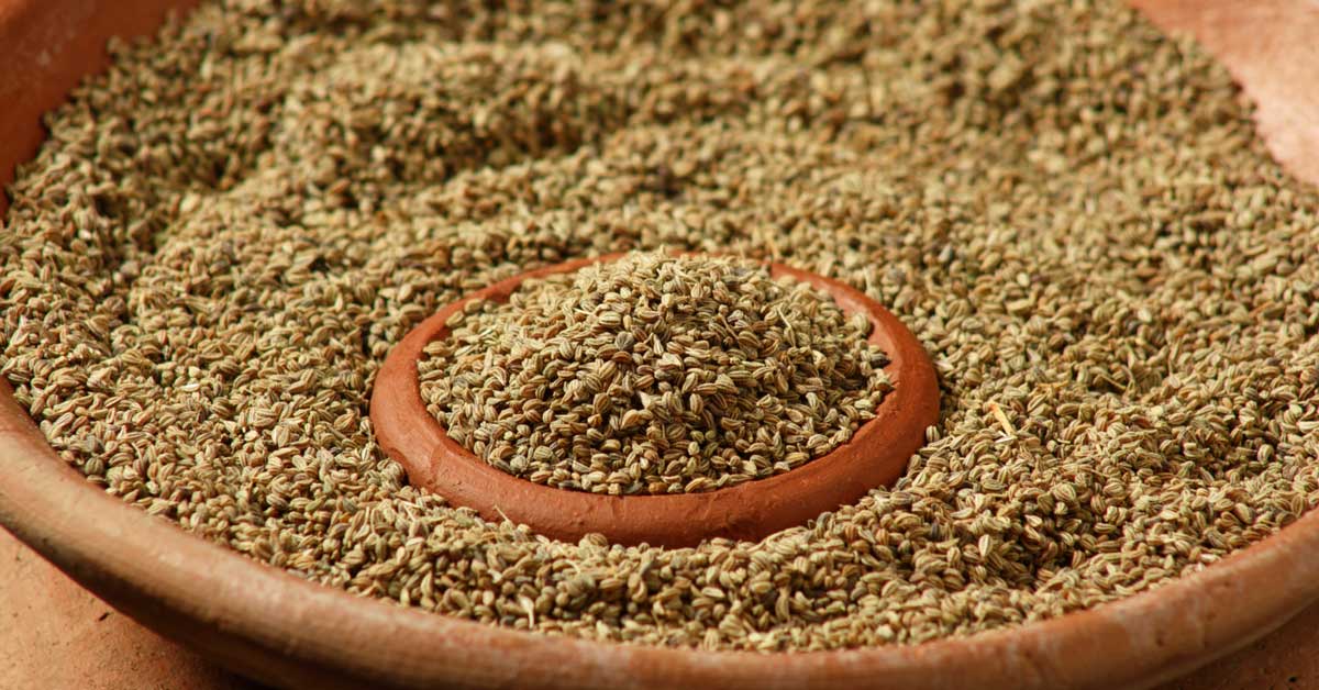 6 Emerging Benefits and Uses of Carom Seeds (Ajwain)