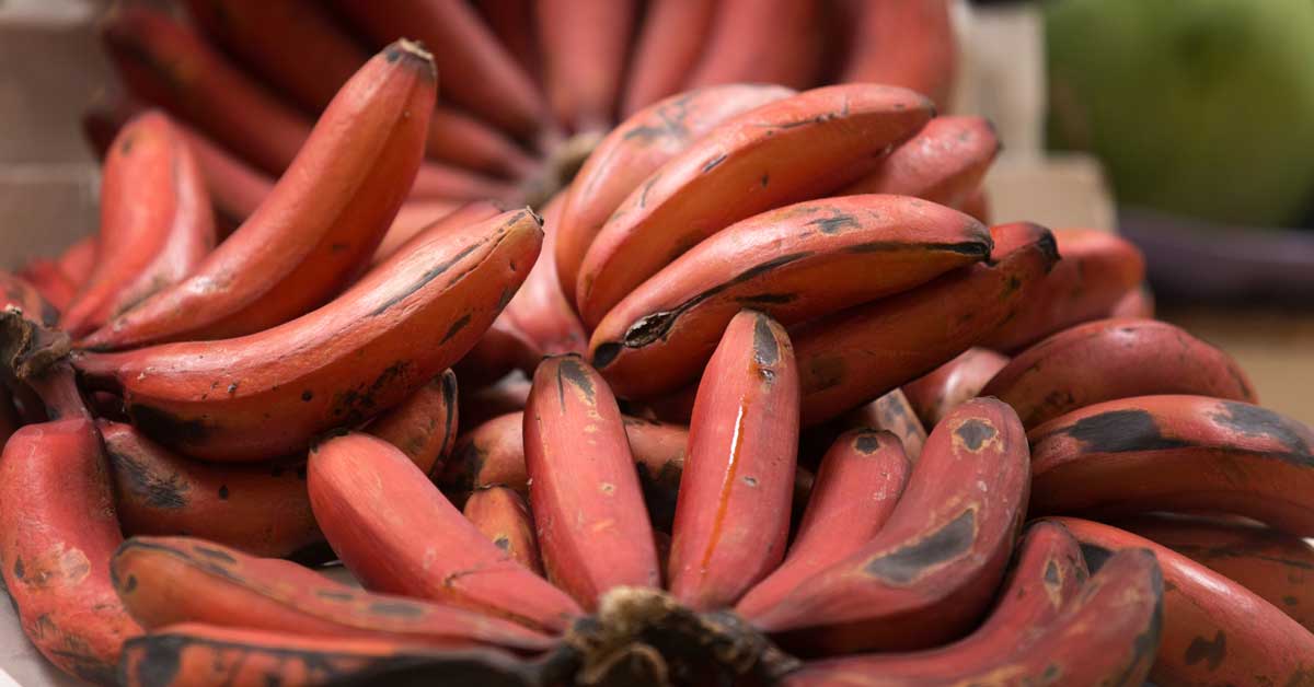 7 Red Banana Benefits (And How They Differ From Yellow Ones)