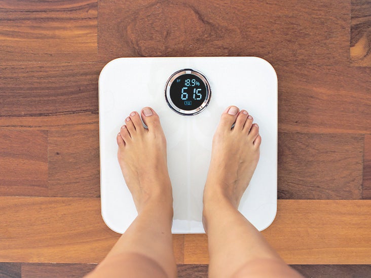 top body weight scales