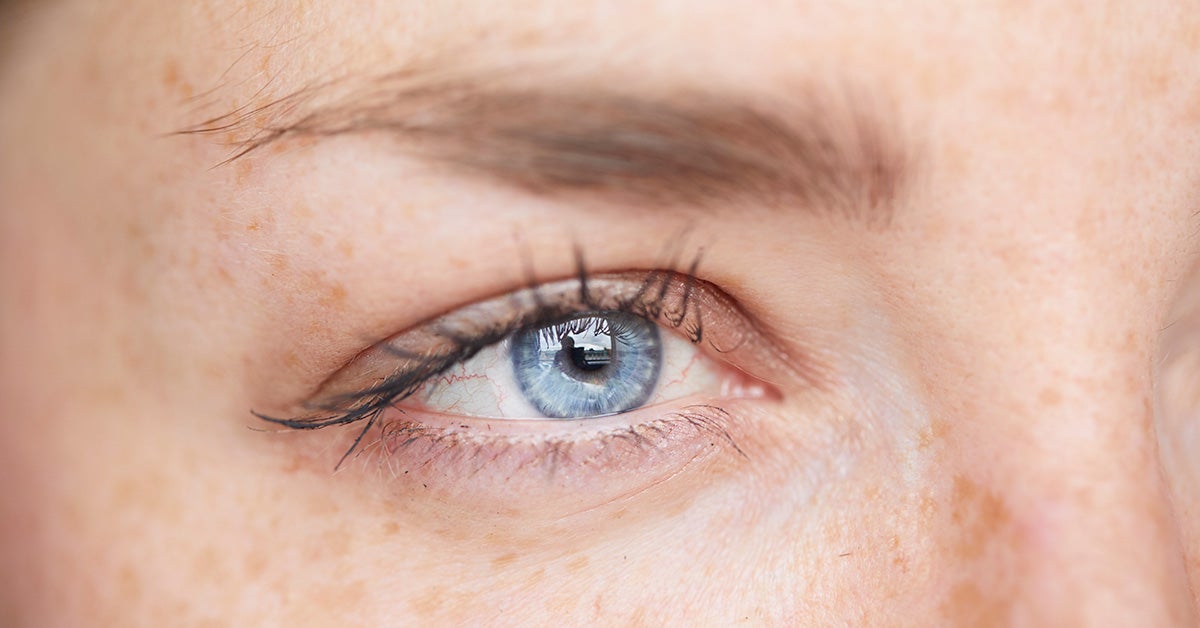 nåde Sandet Arkæologi Does Using Vaseline on Eyelashes Have Benefits?