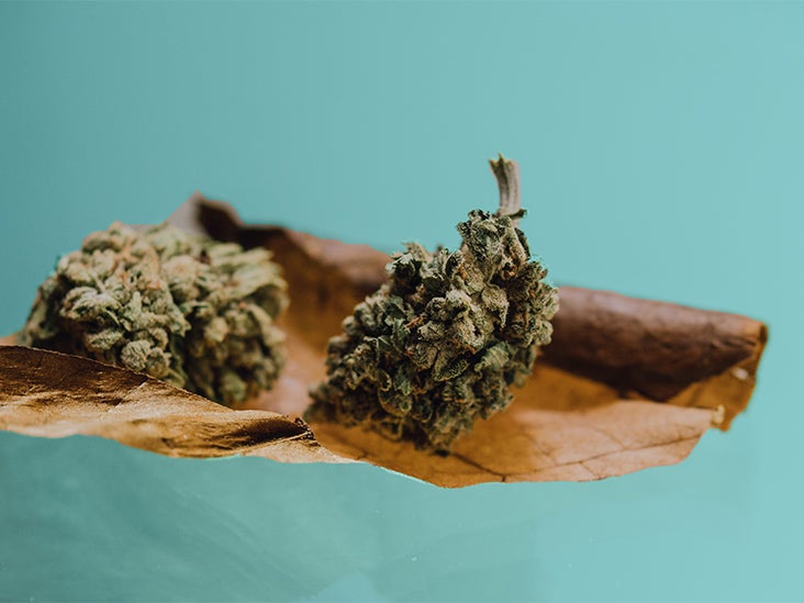 How To Reset Your Weed Tolerance Tips And What To Expect