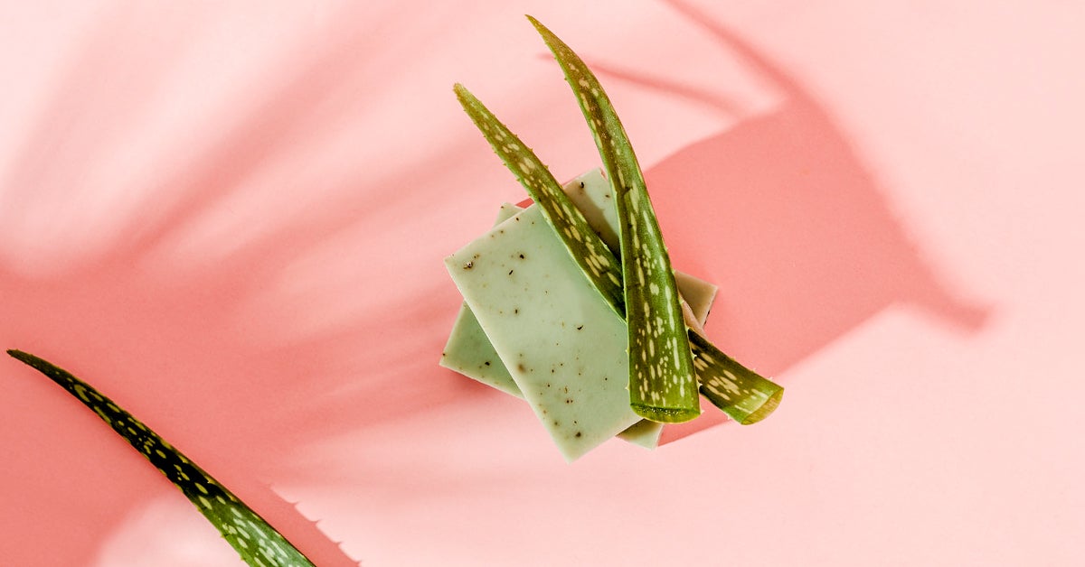 Aloe Vera for Acne Scars: Use How to Apply