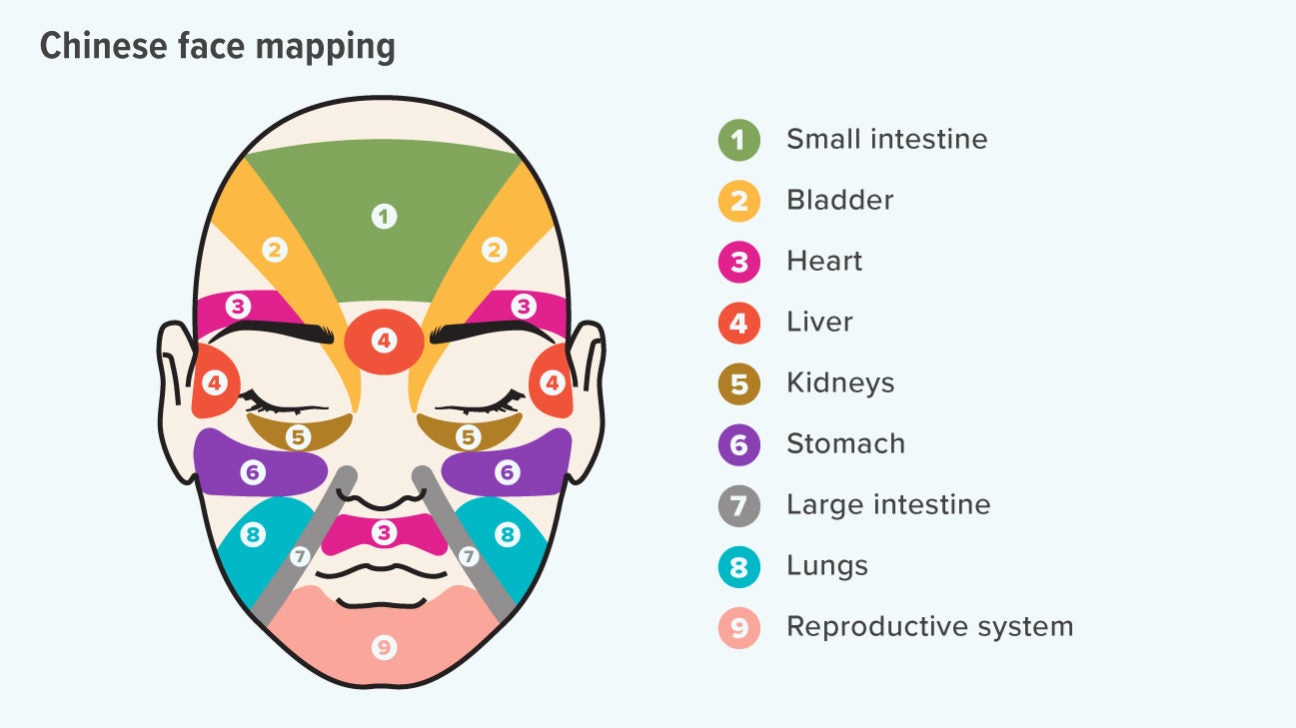 Chinese Diagnosis Face Mapping Face Mapping In Traditional Chinese