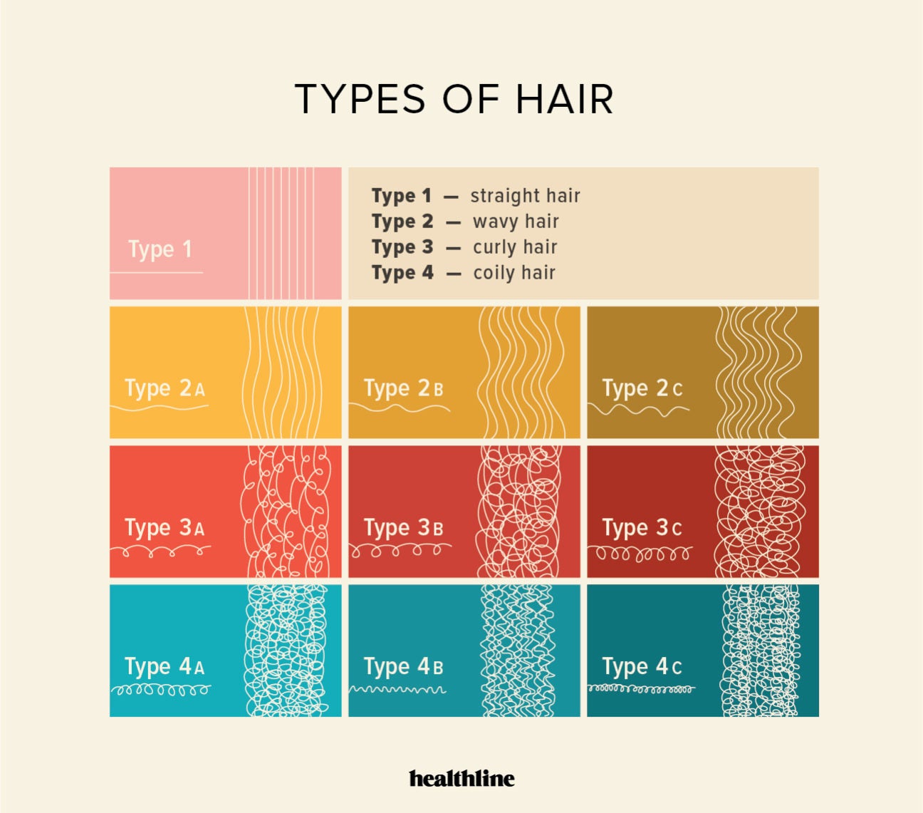 chart showing types of hair