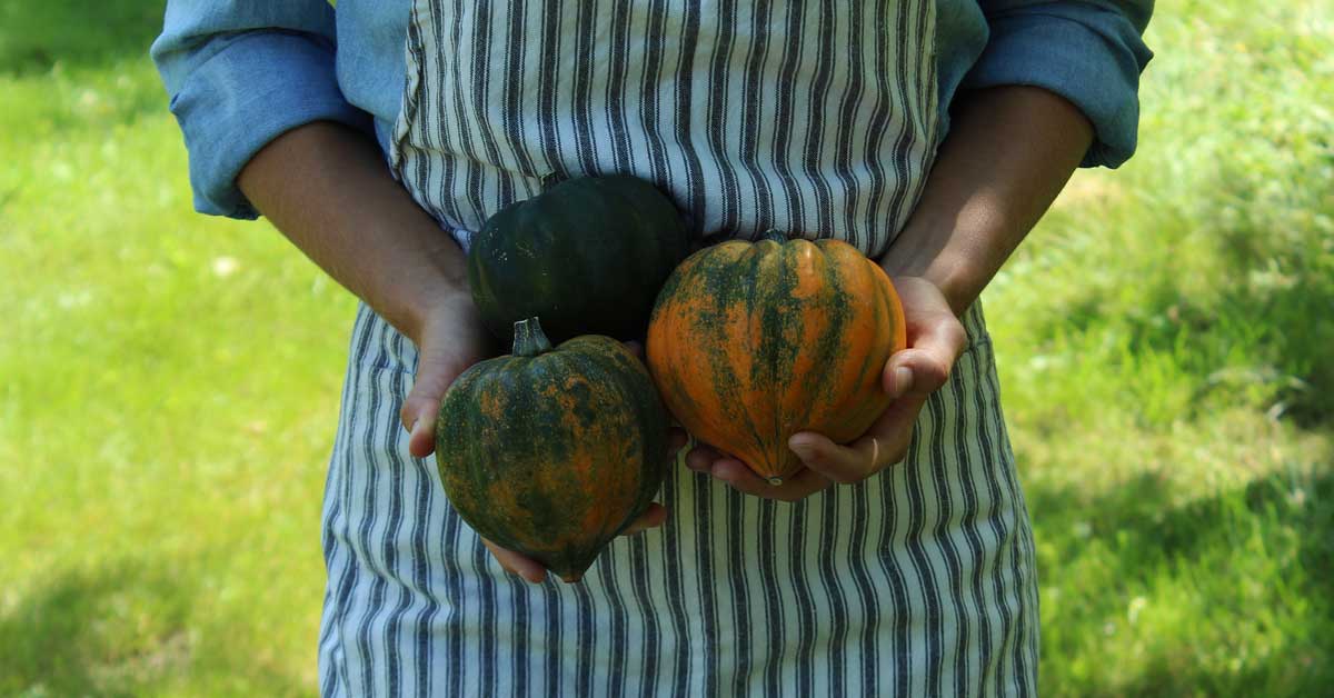 roasted acorn squash nutrition facts
