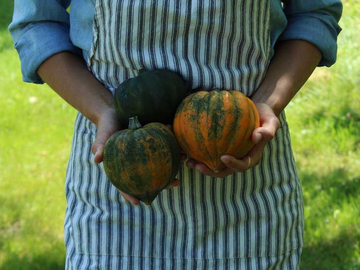 Acorn Squash: Nutrition, Benefits, and How to Cook It