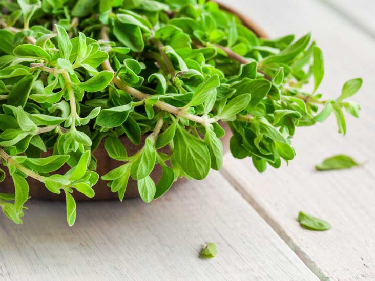 What Is Marjoram? Benefits, Side Effects, and Uses