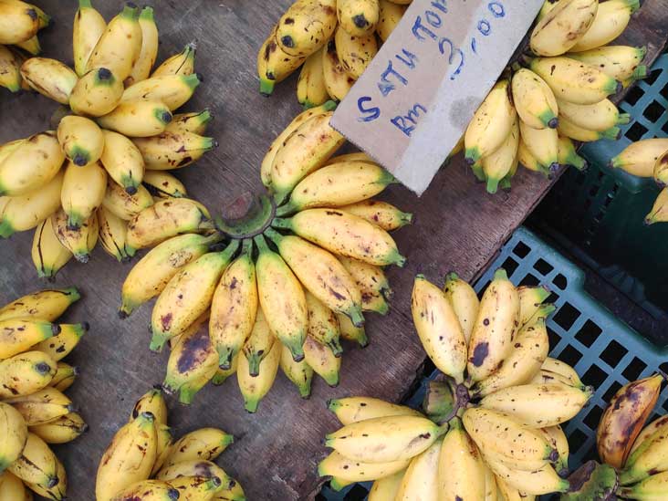 14 Unique Types of Bananas