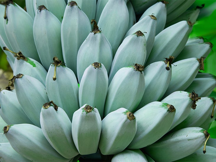 Why Blue Java Bananas Taste Like Ice Cream — and Other Facts