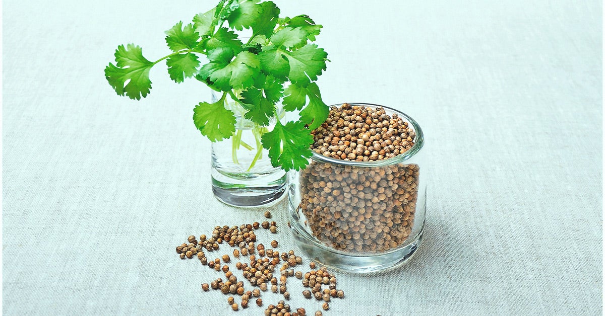 8 Surprising Health Benefits Of Coriander