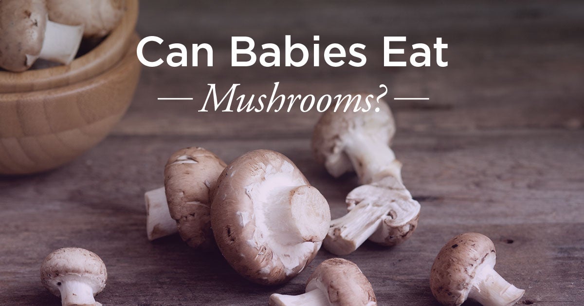 baby mushroom