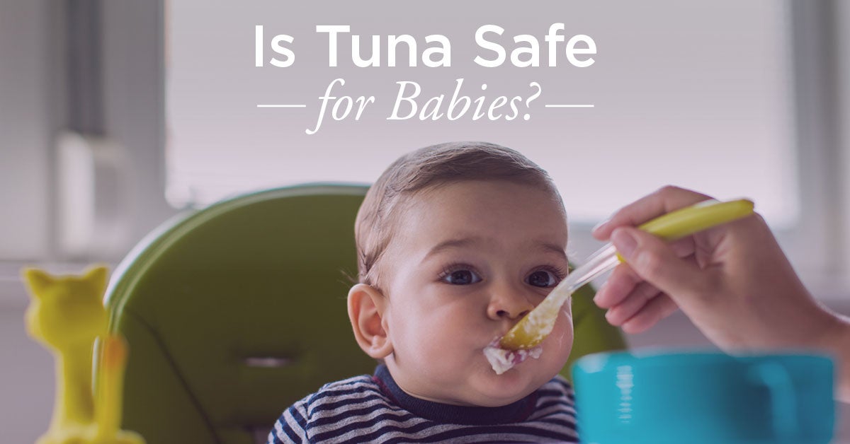 Ampère beroerte Stemmen Can Babies Eat Tuna: Risks and Benefits