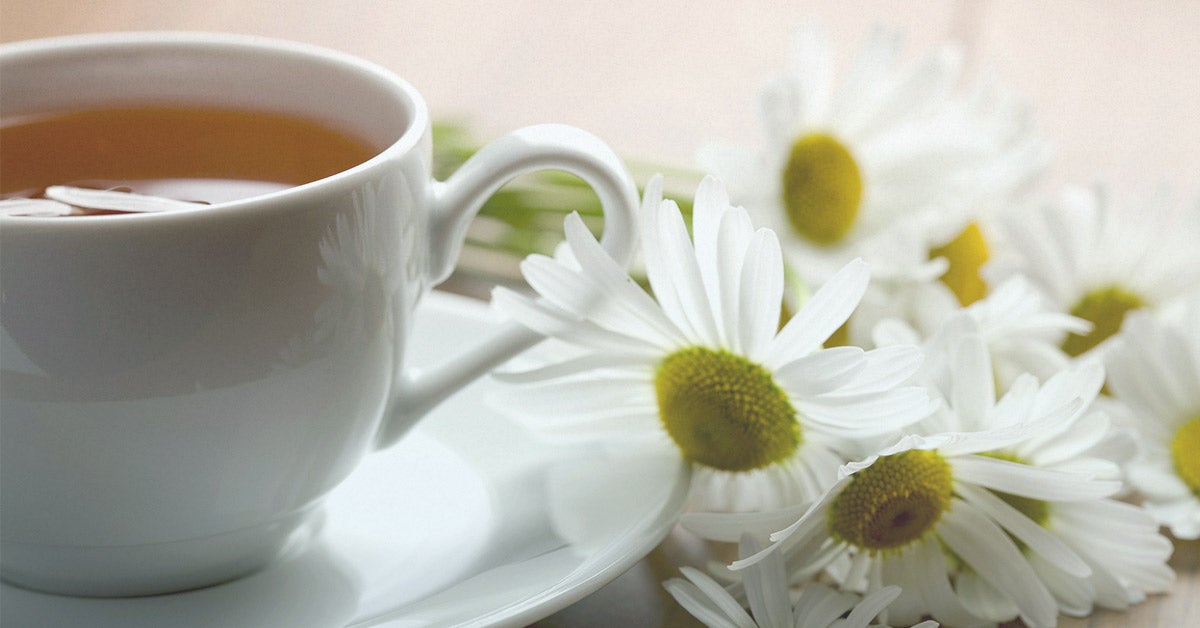 Chamomile Tea While Pregnant Is It Safe To Drink 