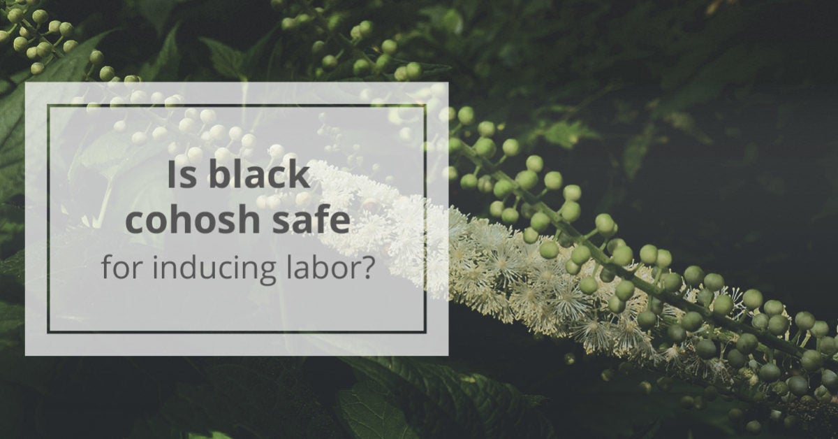 Black Cohosh To Induce Labor Is It Safe