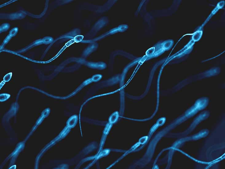 Fishy smell why sperm does What Is