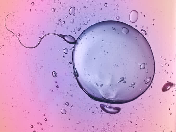Can sperm inside a how condom live long How long