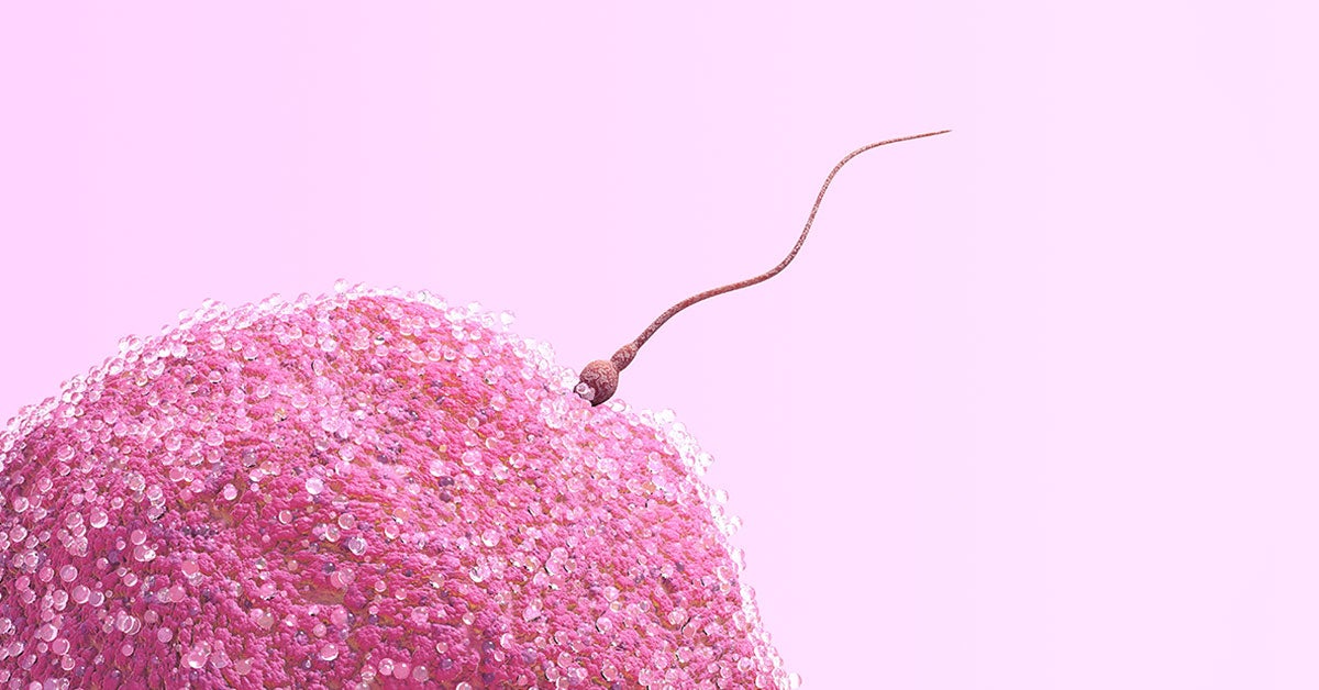 12 Widely Believed Sperm Facts That Are Actually False