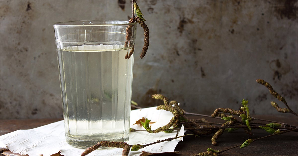 What Is Birch Water? Benefits and Downsides - Healthline