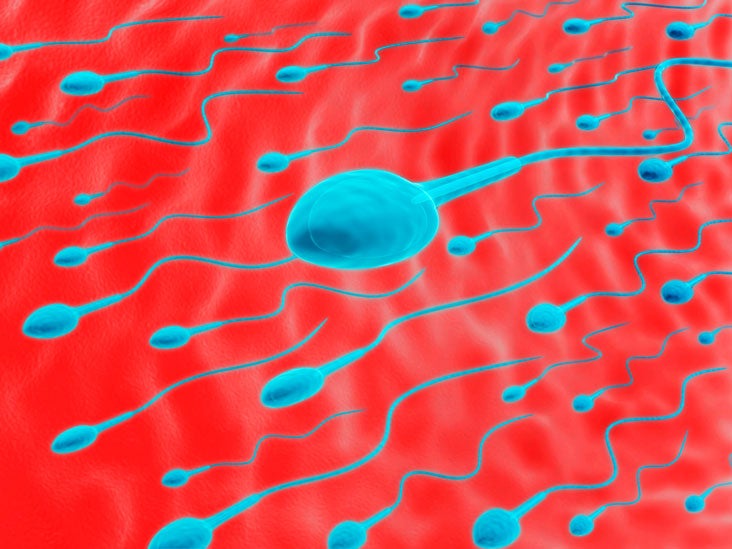 semen-analysis_thumb.jpg (732×549)