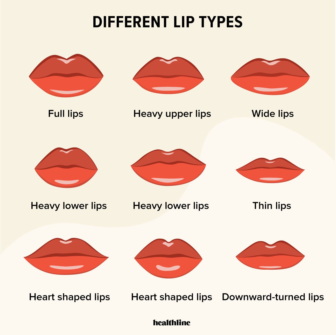 Types Of Lips Lip Care Lip Enhancement And Lip Facts 