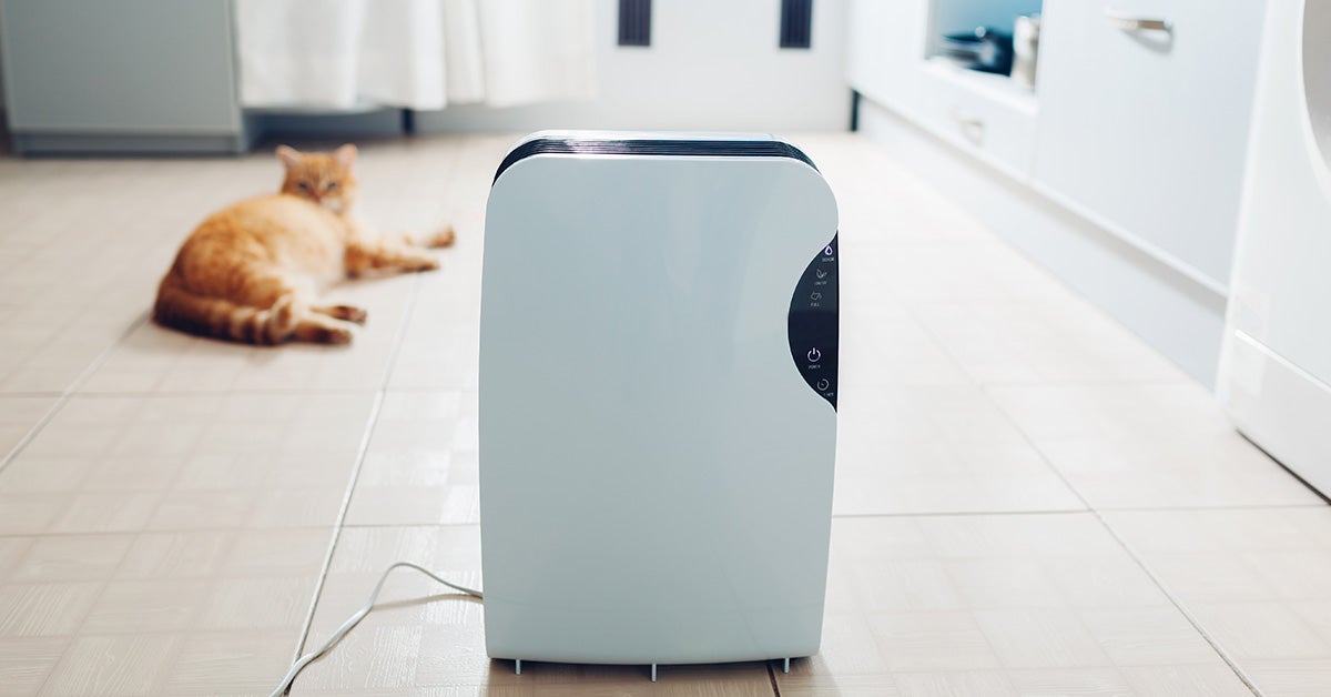 will an air purifier help with dog hair