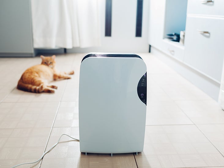 How Much Area Does an Air Purifier Cover 