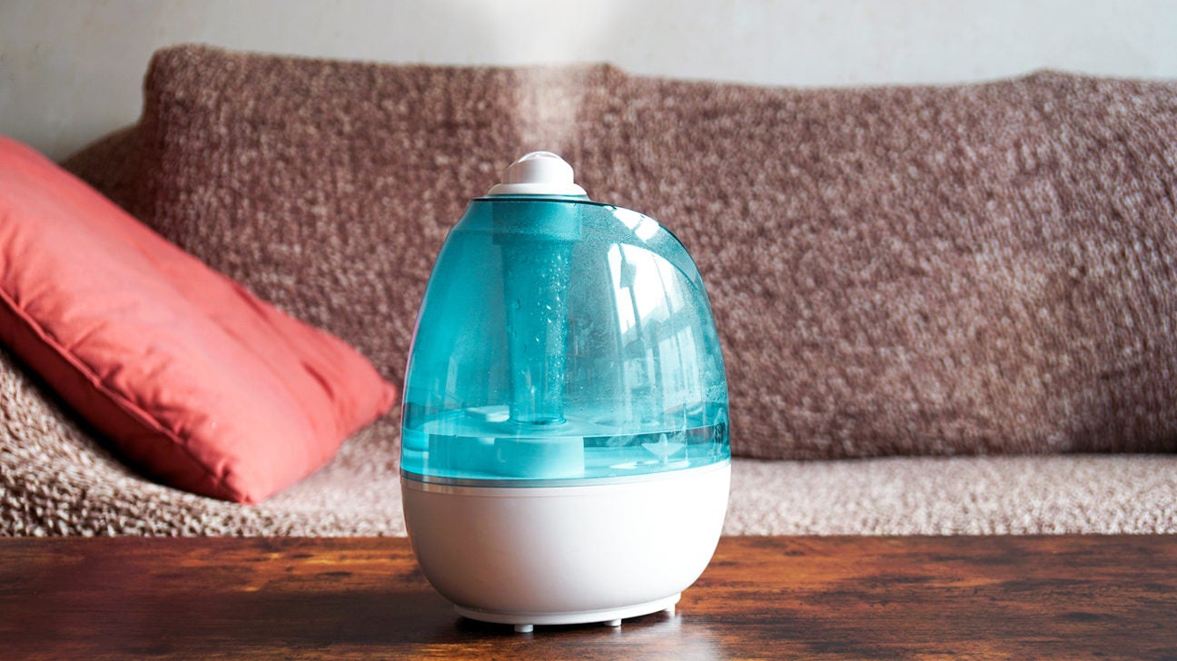 Cool Mist vs. Warm Mist Humidifiers, According to Experts