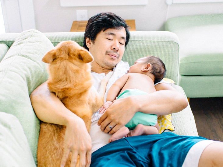 Before You Bring Home Baby, Here's How to Prep Your Pets