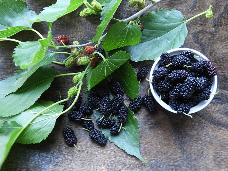 What Is Mulberry Leaf? All You Need to Know