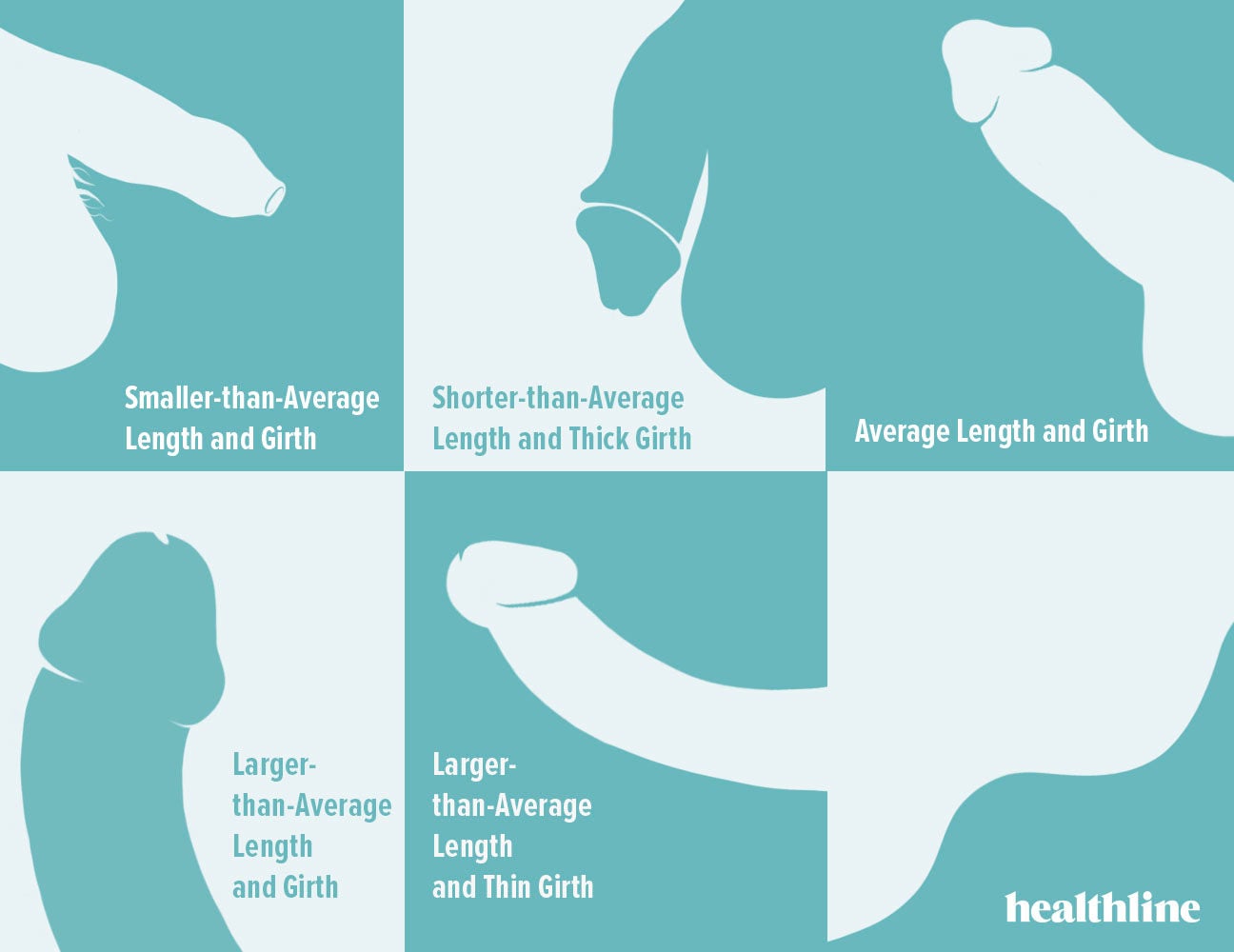 Penis 20 Different Types, Shapes, and Things to Know