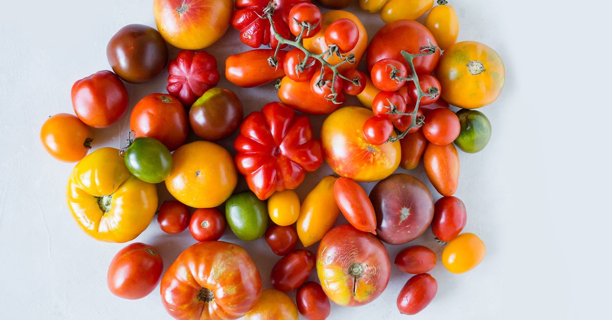 Tomato Seed Assortment 4 Varieties Best Varieties for Large Fruit