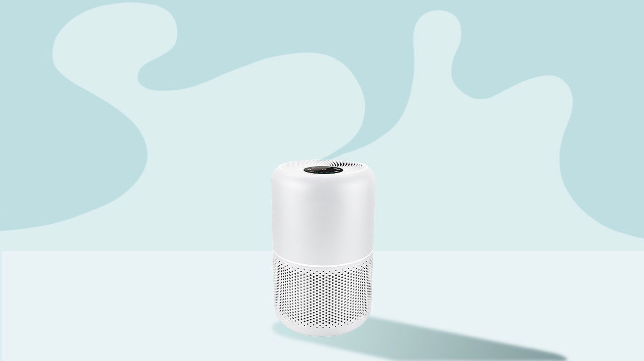 11 Best Air Purifiers of 2024