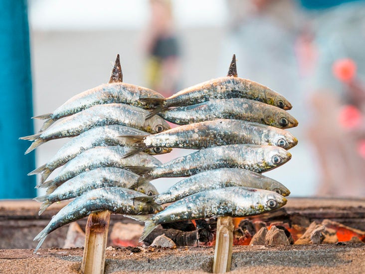Are Sardines Good for You?