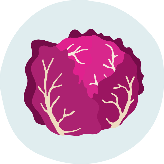 red cabbage