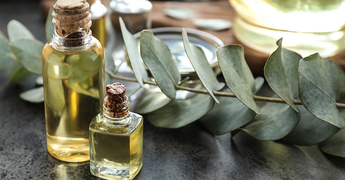 Oil of Lemon Eucalyptus: Benefits, Risks & Active Ingredients