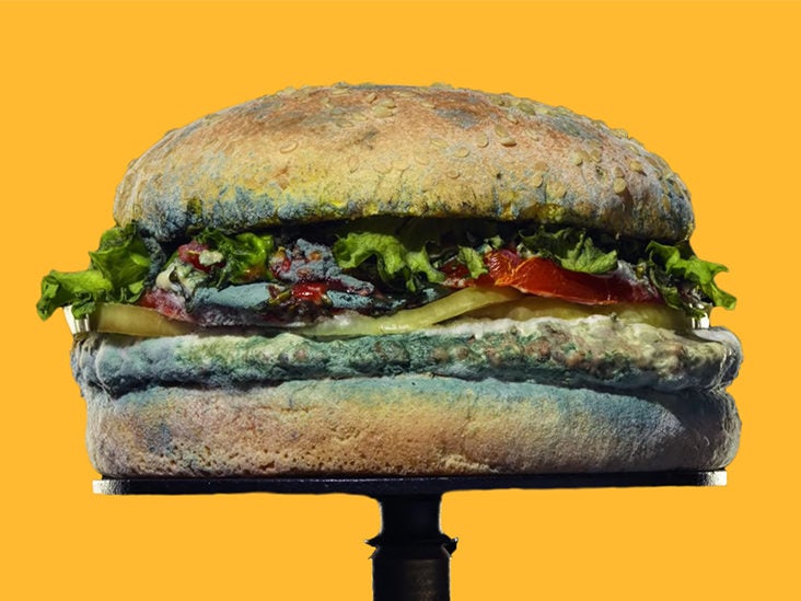 Does Burger King's New Moldy Whopper Ad Prove It's Better for You?