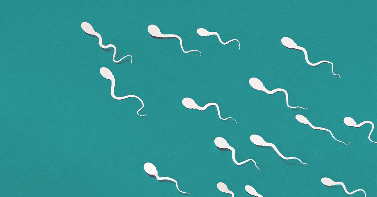 Faible nombre de spermatozoïdes: causes, signes, traitement, chances de grossesse